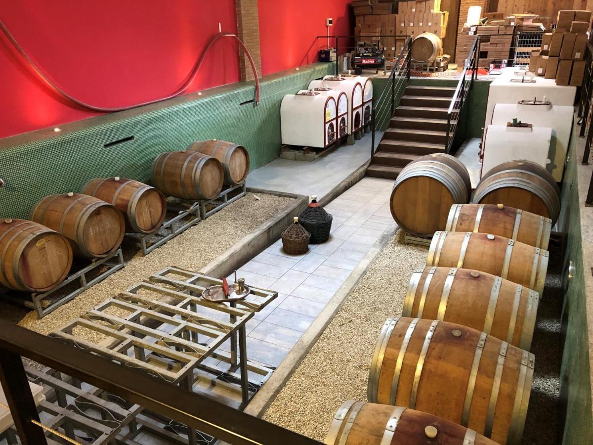 Cascina San Michele Bed & Breakfast Costigliole d'Asti Dış mekan fotoğraf