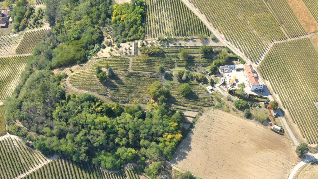 Cascina San Michele Bed & Breakfast Costigliole d'Asti Dış mekan fotoğraf